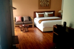 suite 01